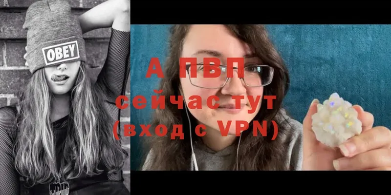 KRAKEN tor  Волчанск  Alpha PVP крисы CK 