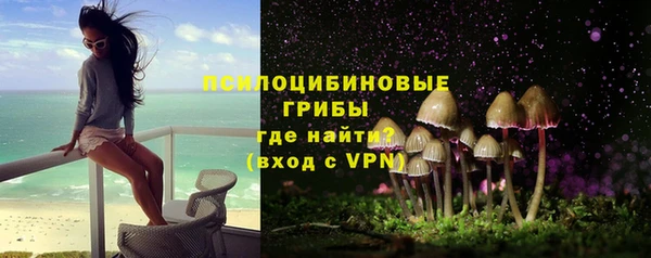 ПСИЛОЦИБИНОВЫЕ ГРИБЫ Беломорск